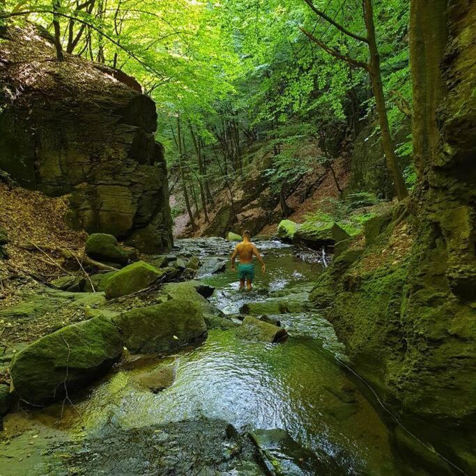 Waterfall A Frame, Maramures Baia Mare Exterior foto